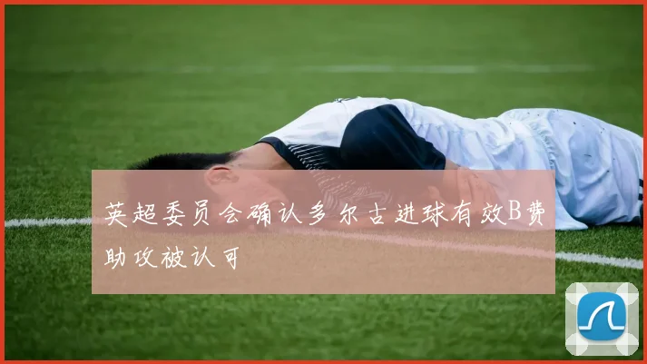 英超委员会确认多尔古进球有效B费助攻被认可